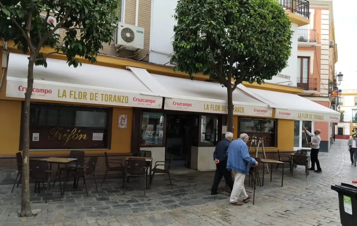 Toldo de brazos extensibles para terraza en Sevilla
